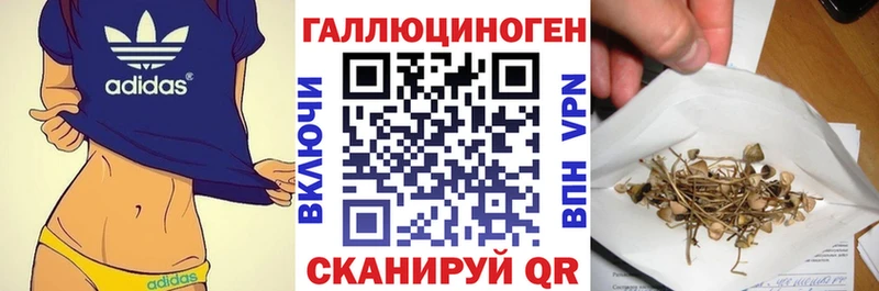 продажа наркотиков Гудермес Псилоцибиновые грибы Cubensis