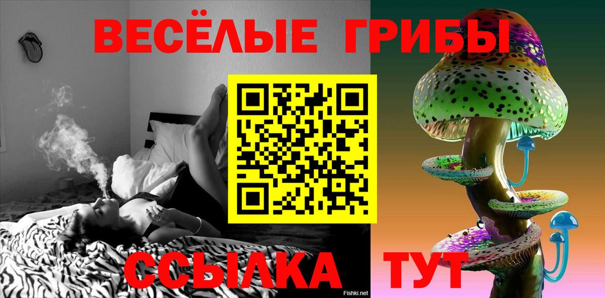 Псилоцибиновые грибы Magic Shrooms  сколько стоит  Гудермес  Псилоцибиновые грибы Psilocybine cubensis  Вход с VPN 