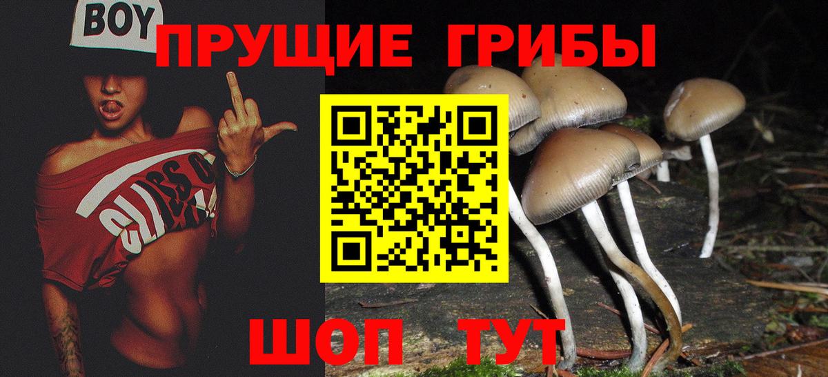 Псилоцибиновые грибы ЛСД  Гудермес  Псилоцибиновые грибы мухоморы 