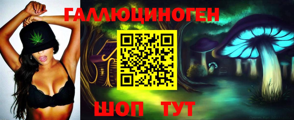 Псилоцибиновые грибы GOLDEN TEACHER Гудермес