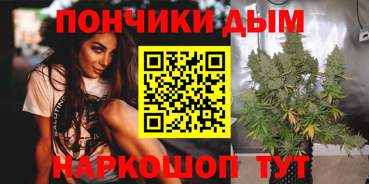 Каннабис конопля Гудермес